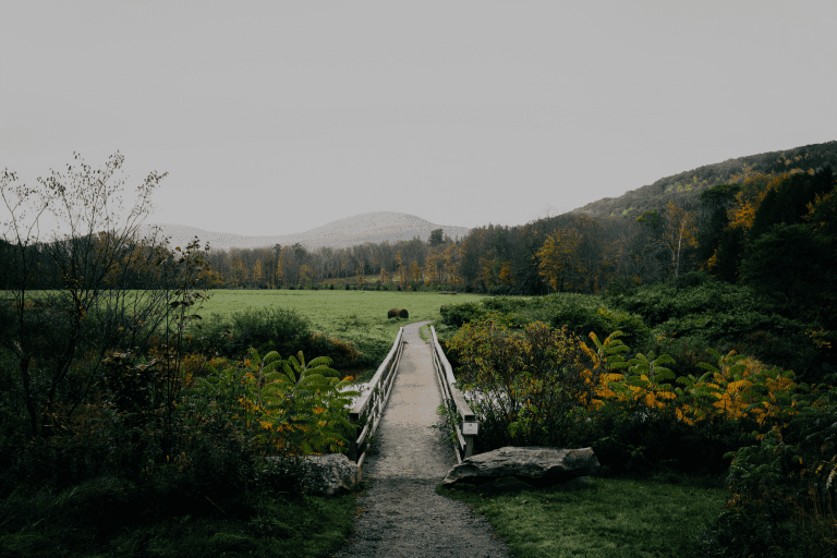windham path trail