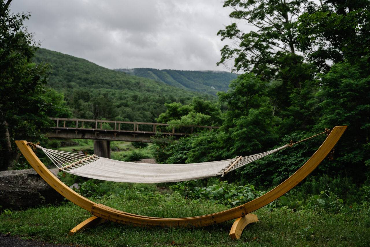 hammock overlooking the Catskill Mountains