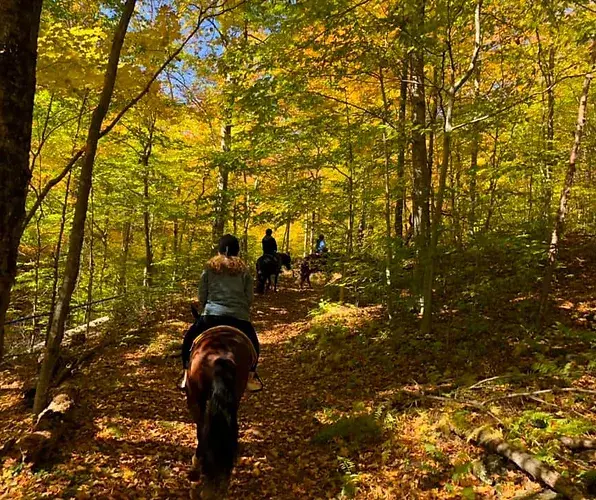 Mountain brook far | wylder hotels